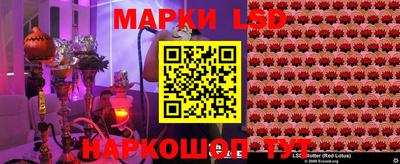 молекула духа Будённовск